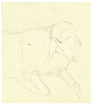 Visualizza l'immagine "FD D 1924"